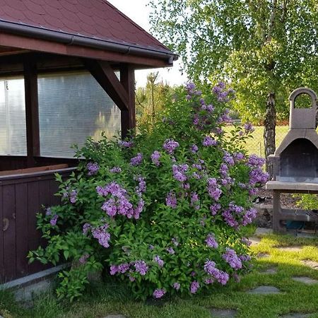 Dom W Skowronkach Villa Sasino Eksteriør billede